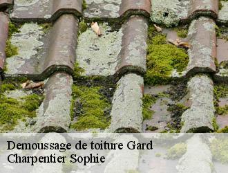 Demoussage de toiture 30 Gard Charpentier Sophie