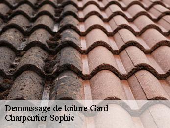 Demoussage de toiture Gard