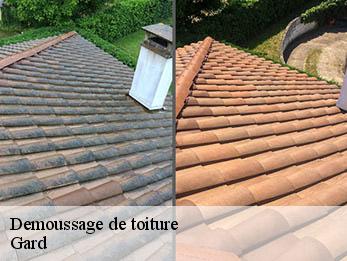 Demoussage de toiture