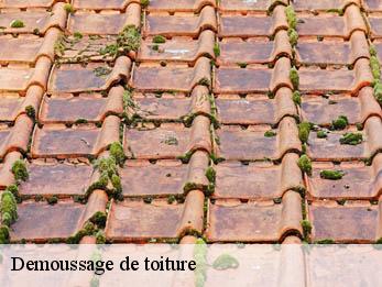 Demoussage de toiture Gard