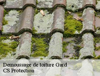 Demoussage de toiture 30 Gard CS Protection