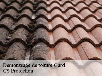 Demoussage de toiture Gard