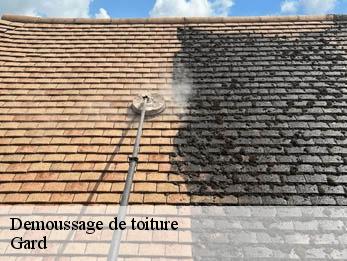 Demoussage de toiture Gard