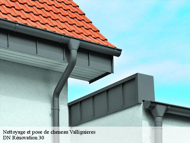 Nettoyage et pose de cheneau  valliguieres-30210 DN Rénovation 30